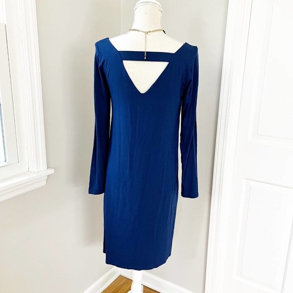 Eileen Fisher Blue Bonnet Ballet/Scoop Neck Dress - Picture 5 of 8